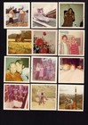 Color 100  Random Found Photo Lot Snapshot Vtg People Places Things Animals