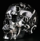 Huge 5 0  Shell  stone Carved Crystal Skull  Super Realistic  Crystal Healing