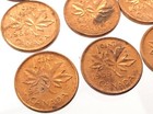 Lot Of 12 Canada 1959 One 1 Cent Bronze Penny Brilliant Uncirculated Coins R133