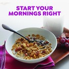 Great Grains Raisins Dates And Pecans Breakfast Cereal  1 Pound  pack Of 5  