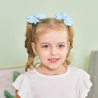 60pcs 3 Inch Hair Bows Grosgrain Ribbon Toddler Hair Accessories With Alligator 