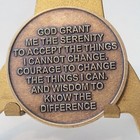Alcoholic  one Day At A Time  Recovery Chip Medallion Medal Token Aa Anonymous