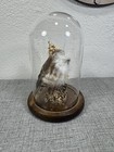 Faux Mini Owl Under Glass Dome Still Life With Dried Flowers