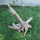 Extra Large Natural Driftwood Root Aquariums Reptile Aquascaping Decor Taxidermy