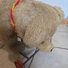 Vtg 1950 s Rare Hard To Find Large Childs Steiff Bear Ride-on Wheels Pull Toy