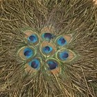 Vintage Peacock Feathers Both Sided Fan Turquoise Green Round Handheld