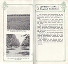 1910 Hotel Del Monte Monterey Peninsula Guide Brochure 64 Pgs Illustrated