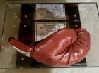 Mike Tyson Authentic Signed Red Everlast Right Hand Boxing Glove W  Case              