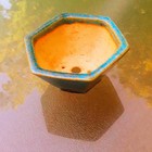 Aiba Koyo Oribe Blue green Glaze Japanese Hexagon Shohin Bonsai Pot 4 X 2  