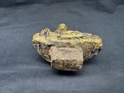 Antique South Asian Gilded Wooden Buddha Carving 6   