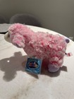 Nwt Webkinz Dreamy Sheep With Sealed Unused Code Ganz Plush