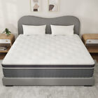14 12 10  Memory Foam Spring Hybrid Mattress In A Box Twin Full Queen King Size