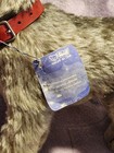 Steiff Tessie Schnauzer Made In Germany Button In Ear Original Tag Vintage 