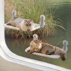 Mewoofun Foldable Cat Window Hammock With 4 Strong Suction Cups For Indoor Cats