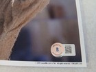 Bonnie Piesse Signed Star Wars 8x10 Bas Beckett Opx Offical Pix 