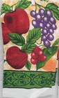 Set Of 2 Same Printed Kitchen Terry Towels  15 x25   Bright Multicolor Fruits cv