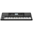Korg Pa300 61-key Professional Arranger Keyboard  Black