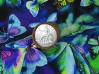 Roll Of 20 Silver Dollars Trade 1878 End  morgan 1891 End Bin Top1810