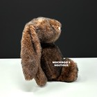 Jellycat Bashful Walnut Bunny Medium Plush Preowned Retired Rare Htf Lovey Cute 