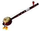 Tumbi Iktara Punjabi Traditional Indigenous Musical Instrument