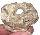 Natural Hag Stone  1 15oz 