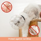 Upgraded Cat Muzzle For Grooming Cat Mouth Cover Cats Grooming Helmet Cats He   