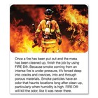 Big D Industries 202 5 Oz Fire D One Shot Aerosol  12 carton  New