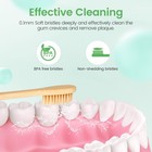 Bamboo Toothbrushes Soft Bristles 10 Pack Biodegradable Bpa Free Soft Bristle   
