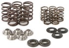Hot Cams Valve Spring Kit Skyfm660s2 Yamaha Raptor 660r
