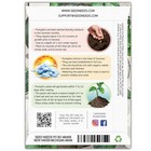  Pumpkin Seeds For Planting Blue Jarrahdale Pumpkins - Non 1 Pack  20 Seeds 