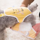 30pcs Disposable Booster Pads Pet Diaper Liners Inserts For Male Female Dog C   