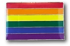 Rainbow Flag Lapel Pin 1  - Silver