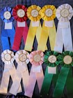 Vintage Pony Streamers Cut Horse Show Ribbons Awards Equestrian Events
