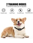 Bark Collar Super Effective Anti-bark Dog Collar W  Vibration   No-harm New