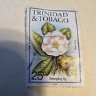 Trinidad   Tobago 1989 25c Strangling Fig  clusia Rosea  Used Postage