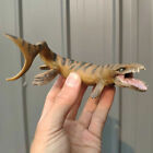 Pnso 5 1  Dakosaurus Model Dinosaur Figure Ocean Animal Toy Collector Kid Gift