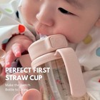 Grosmimi Flip Top Spill Proof Sippy Cup  Ppsu  Bpa Free  6 Oz  Stage 2 Straw    