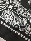 Ice Cube Truth To Power Four Decades Of Attitude Tour Bandana Rap Hip Hop 