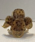 Vintage Steiff Germany Miniature 4  Mohair  wittie  Owl 50 s 60 s  W tags