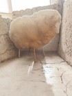  Handcrafted Vintage Wool Sheep Figurine