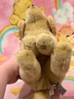 Ganz Webkinz Signature Yellow Labrador Retriever Plush No Code  read 