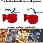 12 24 Pcs Chicken Automatic Watering Cups Poultry Drinker Waterer Duck Quail Hen
