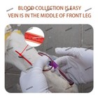 Canine Pregnancy Test Strip Dog Cat Ovulation Test Chip - Complete Kit