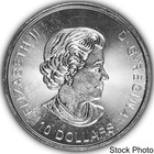 2020 Canada  10 Twin Maple Leaf 2 Oz  9999 Fine Silver Bu Coin