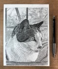 Custom Pet Portrait From Photo   Pencil Sketch Dog And Cat Gift