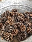 50 Natural Pine Cones - Small med large Assortment For Crafts  Decorations
