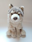 Webkinz Signature Timber Wolf Wks1008 Ganz Retired Soft Plush Toy No Code
