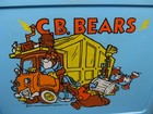 Nice Vintage 1977 Plastic Thermos C b  Bears Lunch Box With Thermos