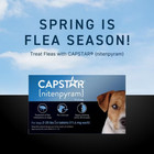  Flea Oral Treatment For Dogs  2-25 Lbs  12 Tablets