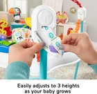 Fisher-price Baby Bouncer Animal Activity Jumperoo Musical Play Center
